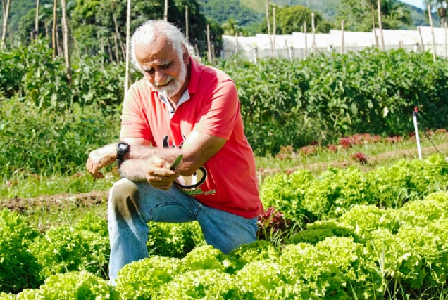 Jairo Restrepo Rivera